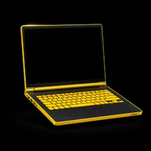 Laptop / PC / Mac